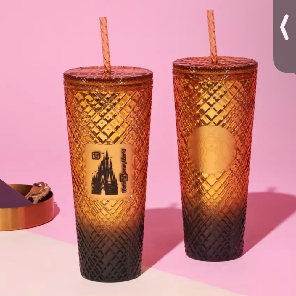 Disney Parks Starbucks Geometric Tumbler with Straw Cinderella Castle NEW OS WDW